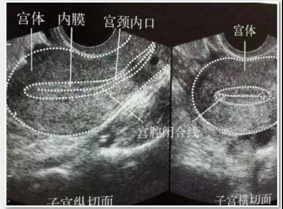 微信图片_20190304174436.jpg