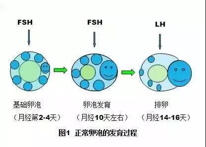 微信图片_20190524090627.jpg