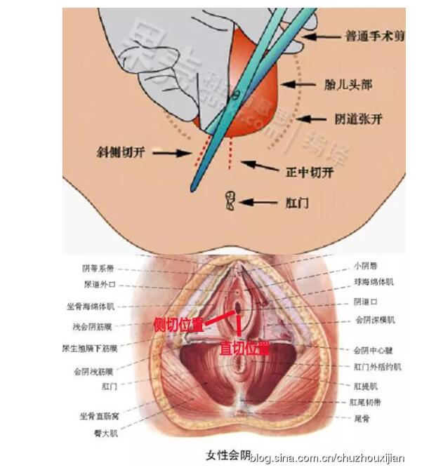 TIM截图20191108172024.jpg