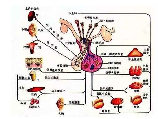 微信截图_20191112094339.png