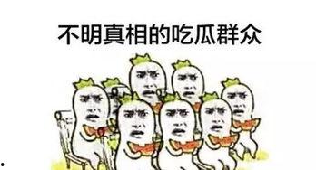 娱乐吃瓜群众分享文案,吃瓜群众热议的幕后故事