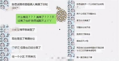 娱乐吃瓜酱不叠被子,揭秘明星不叠被子的秘密生活