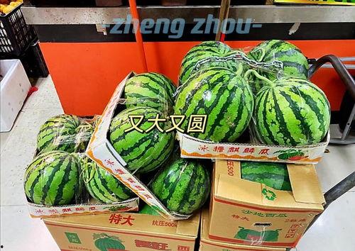 吃瓜娱乐郑州,揭秘网红美食与娱乐新风尚